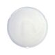 Remo 2 Light Alabaster Glass Ceiling Oyster Light White - OL41140WH