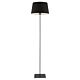 Devon Floor Lamp Graphite / Black - Devon FL-BKBK