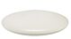 30W LED DISC OYSTER LIGHT