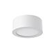 30W LED SURFACE MOUNT (DL30096/30W/WH/TC)