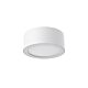 20W LED SURFACE MOUNT (DL20096/20W/WH/TC)