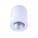 15W LED SURFACE MOUNT LIGHT (DL2081/WH)